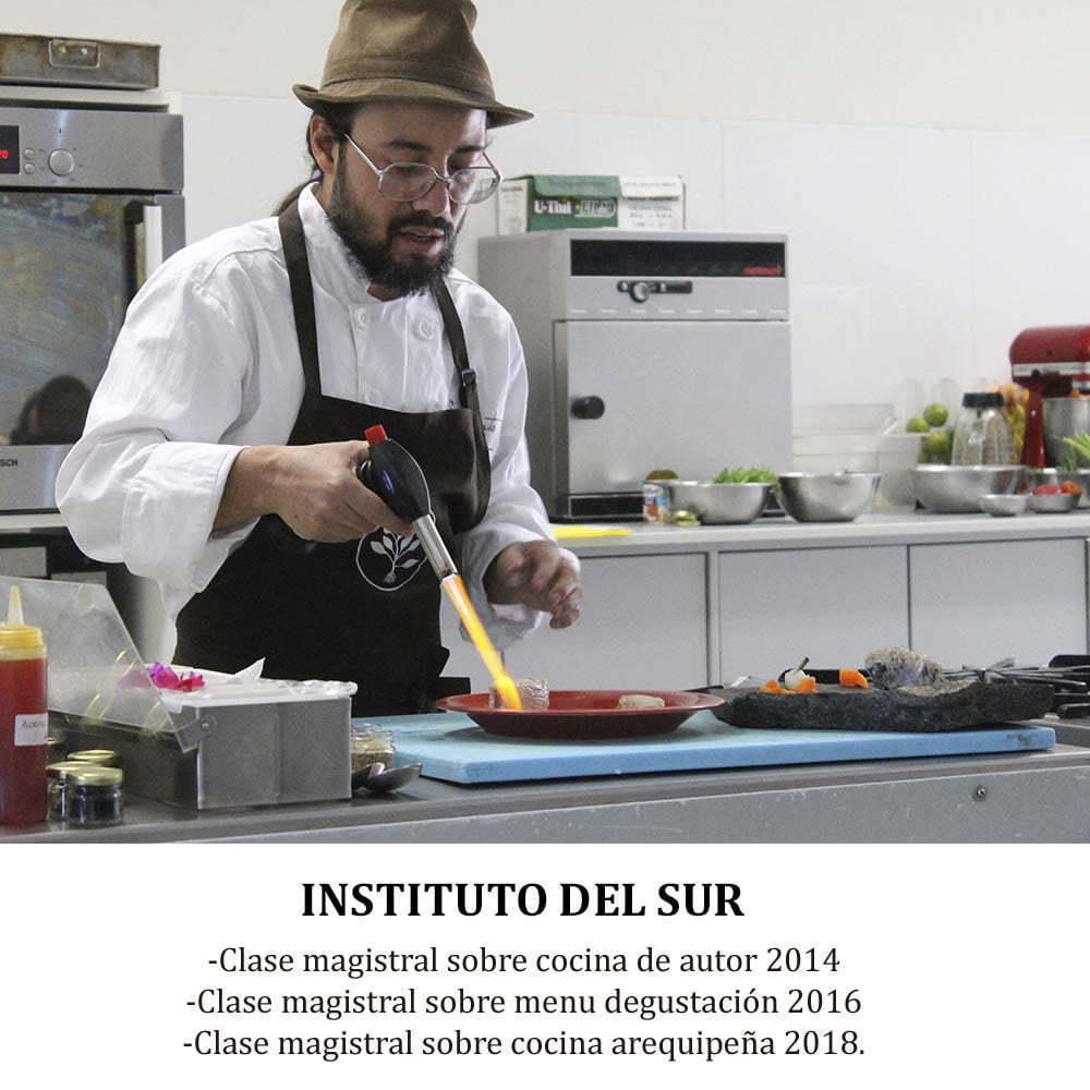 INSTITUTO DEL SUR